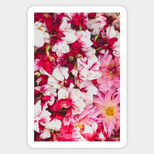 Pink White Red Flowers Sticker